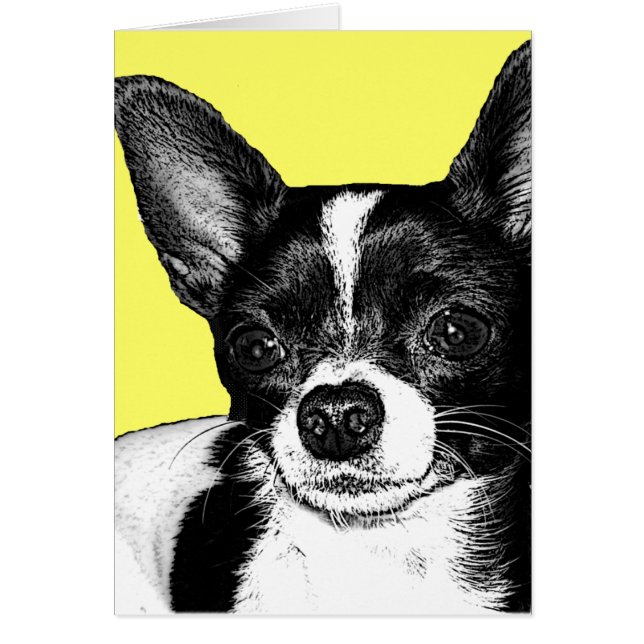 パーティーのチワワ (正面)