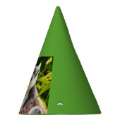 パーティーの帽子のマダガスカルのlemur パーティーハット (右)