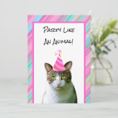 パーティーの帽子の誕生日を持つ動物の猫のような 招待状 (スタンド正面)