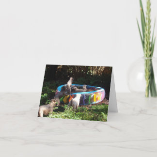 パーティーの時間! カード