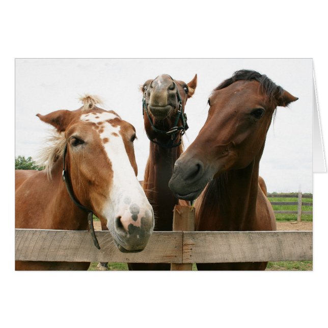 パーティーの生命 (正面横)