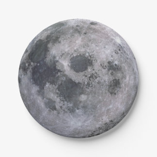 パーティーの紙皿の月 ペーパープレート