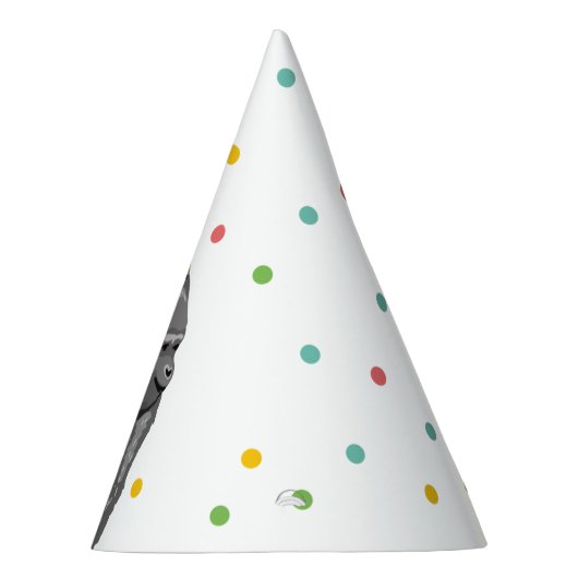 パーティーアニマルズサファリワイルドワンジャングルズー誕生日 パーティーハット (右)