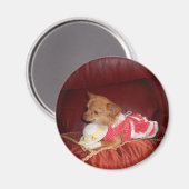 パーティーカイ磁石 マグネット (正面/裏面)