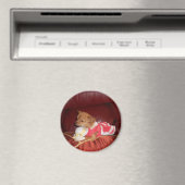 パーティーカイ磁石 マグネット (インサイチュ (食洗機))