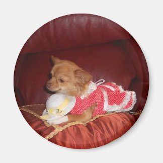 パーティーカイ磁石 マグネット