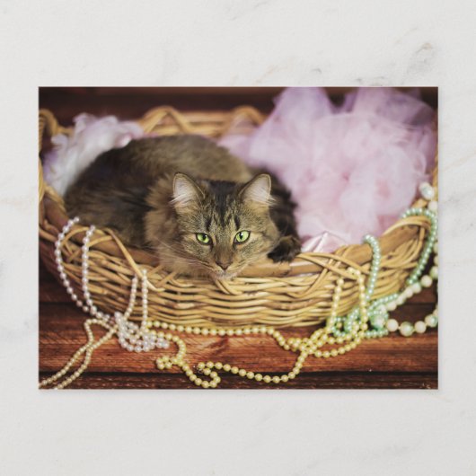 パーティーガールはがき インビテーションポストカード (正面)