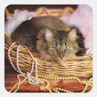 パーティーガールシール スクエアシール