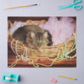 パーティーガールティッシュペーパー 薄葉紙 (クラフト)