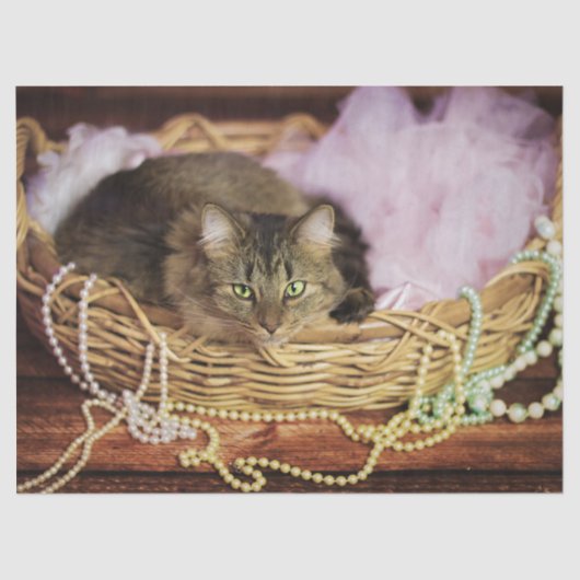 パーティーガールティッシュペーパー 薄葉紙 (正面)