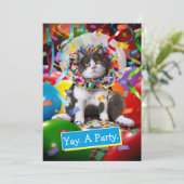 パーティーコーンの猫 招待状 (スタンド正面)