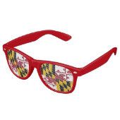 パーティーサングラスとメリーランド州旗 レトロサングラス (アングル)