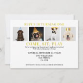 パーティータイム 犬テーマの誕生日 5枚の写真カード 招待状 (裏面)