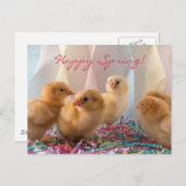 パーティーチックイエローベビーチキンストリーマー インビテーションポストカード (正面/裏面)