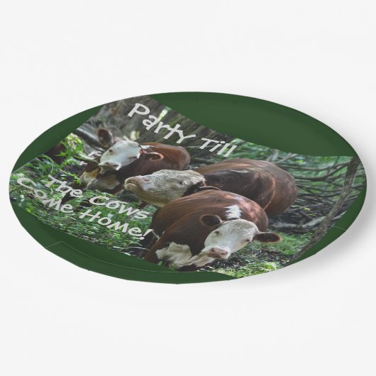 パーティーティルザウク来スホーム紙プレート ペーパープレート (アングル)