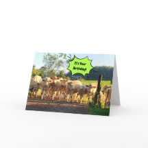 パーティーティルザフ来ォーム誕生日