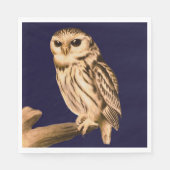 パーティーナプキンス野鳥自然フクロウ スタンダードランチョンナプキン (正面)