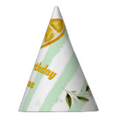 パーティーハットサマーバースデーパーティコレクション パーティーハット (右)