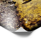 パーティービーズ フォトプリント            (角)