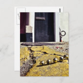 パーティービーズ ポストカード (正面/裏面)