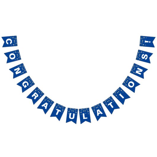 パーティーライトおめでとう青 バンティングフラッグ (全)