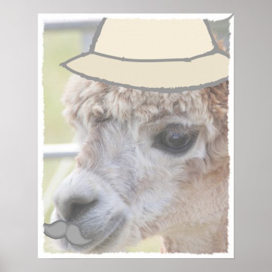 パーティーラマと口ひげ ポスター (正面)