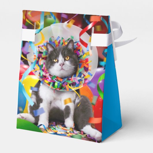 パーティー円錐 フェイバーボックス (裏面サイド)