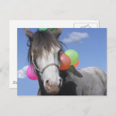 パーティー動物 ポストカード (正面/裏面)