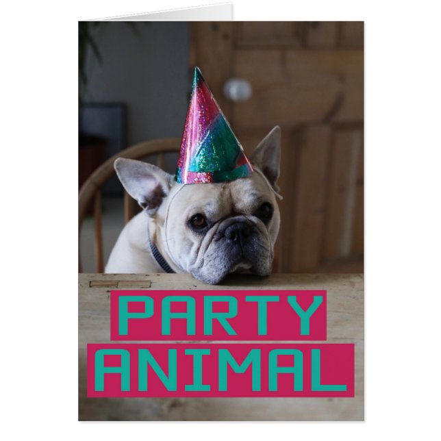 パーティー好きな人! (正面)