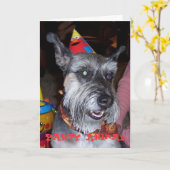 パーティー好きな人、バースデー・カード カード (黄色い花)