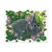 パーティー屋だ