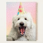 パーティー帽付きゴルデンドール プランナー手帳 (裏面)