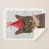 パーティー帽子付き亀甲猫 シェルパブランケット (正面(横))