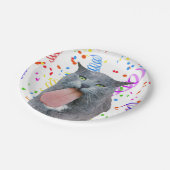 パーティー得が舌を？ ペーパープレート (アングル)