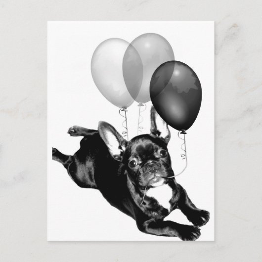 パーティー時フランスの間ブルドッグ葉書 ポストカード (正面)