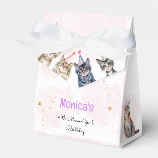 パーティー猫ニャーニャー子供の誕生日 フェイバーボックス (正面サイド)
