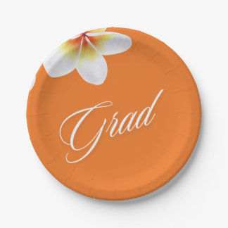 パーティー球 ペーパープレート