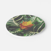 パーティー紙プレート熱帯熱 ペーパープレート (アングル)