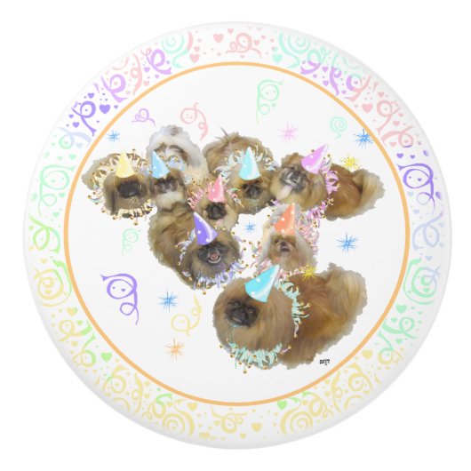 パーティー群 セラミックノブ (正面)