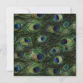 パーティー誕生日ピーコックグリーンブルー金ゴールド 招待状 (裏面)