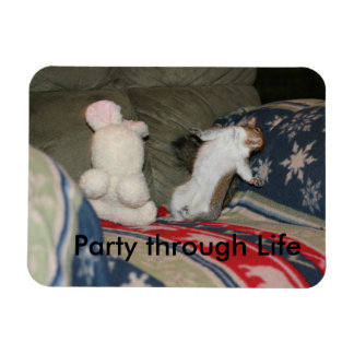 パーティー貫通磁石 マグネット