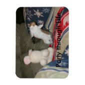 パーティー貫通磁石 マグネット (縦)