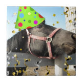 パーティー馬 タイル (正面)