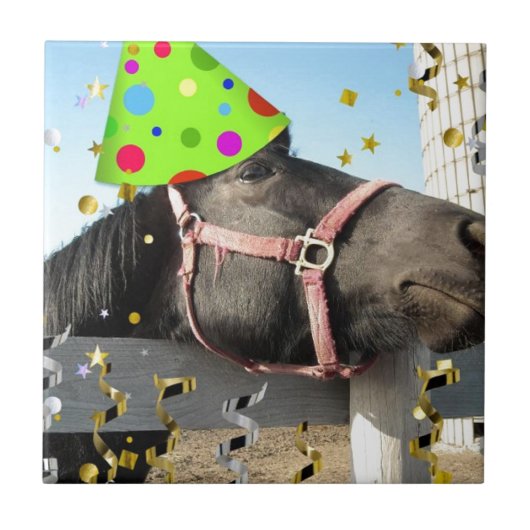 パーティー馬 タイル (正面)