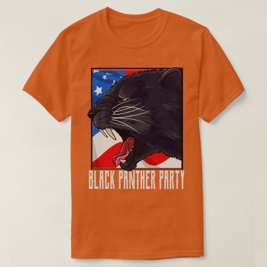 パーティー1966 BPPアメリカ国旗 Tシャツ (デザイン正面)