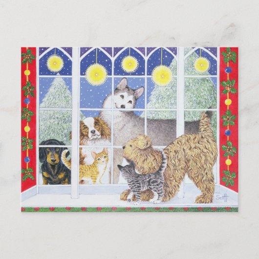 パーティー インビテーションポストカード (正面)