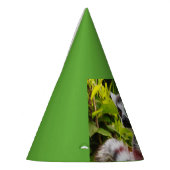 パーティー・ハット上のマダガスカルのぶつぶつ パーティーハット (左)