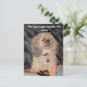 パーティー、パーティーが同じではありません ポストカード (スタンド正面)