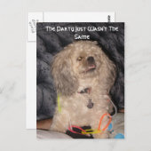 パーティー、パーティーが同じではありません ポストカード (正面/裏面)