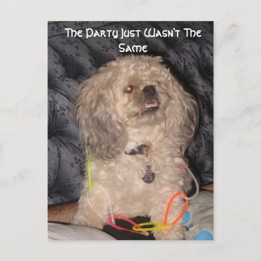 パーティー、パーティーが同じではありません ポストカード (正面)